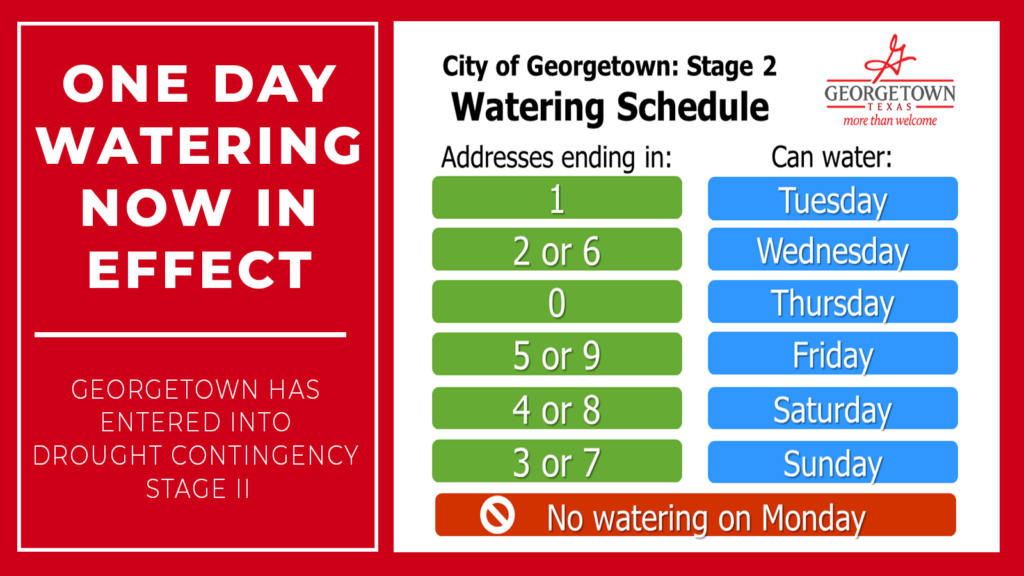 image: Phase 2 - watering schedule. only water ONE day a week